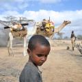 Boy and his family had to flee from the tread of Al shabaab in Somali. 